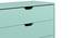Calla Chest of Five Drawers Finish- Mint Green (Painted Finish) by Urban Ladder - Top Image - 