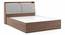 Tyra Storage Bed (Queen Bed Size, Box Storage Type, Classic Walnut Finish) by Urban Ladder - Side View Design 1 - 