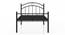 Arnold Metal Single Bed (Single Bed Size, Black Finish) by Urban Ladder - Close View - 