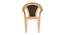 Caesar Plastic Chair (Beige Finish) by Urban Ladder - Top Image - 