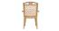 Clinton Plastic Chair (Beige Finish) by Urban Ladder - Close View - 