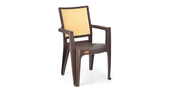 Charlie Plastic Chair (Brown Finish) by Urban Ladder - Front View - 