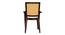 Charlie Plastic Chair (Brown Finish) by Urban Ladder - Close View - 