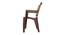 Charlie Plastic Chair (Brown Finish) by Urban Ladder - Zoomed Image - 