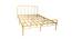 Pindora King Bed (Queen Bed Size, Brass Finish) by Urban Ladder - Front View Design 1 - 683761