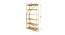 Half Moon Bookshelf (Brass Finish) by Urban Ladder - Design 1 Dimension - 683838