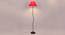 Edison Red Fabric Floor Lamp with Black Iron Base (Black) by Urban Ladder - Design 1 Side View - 684070