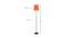 Seamus Orange Fabric Floor Lamp with Black Iron Base (Black) by Urban Ladder - Design 1 Dimension - 684905