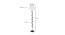 Brian Off White Fabric Floor Lamp with Black Iron Base (Black) by Urban Ladder - Design 1 Dimension - 685069