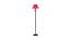 Orion Red Fabric Floor Lamp with Black Iron Base (Black) by Urban Ladder - Front View Design 1 - 685177