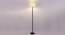 Flora White Natural Fiber Floor Lamp with Black Iron Base (Black) by Urban Ladder - Design 1 Side View - 685547