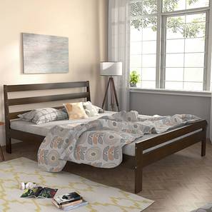 All Beds Design Qsaka Bed With Essential Coir Mattress (Queen Bed Size, Dark Walnut Finish)