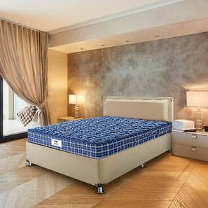 Queen Size Mattress Design Tartania Pocket Spring Mattress - Queen Size (Blue, Queen Mattress Type, 72 x 60 in Mattress Size, 8 in Mattress Thickness (in Inches))