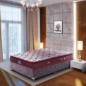 Single Bed Mattress Design Restonic Sanibel Bonnel Spring Pillow Top Mattress - Single Size (Single Mattress Type, 75 x 36 in Mattress Size, 6 in Mattress Thickness (in Inches), Maroon)