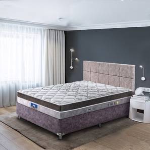 Bedroom Furniture In Meerut Design Restonic Ardene Pocket Spring Euro Top Mattress - Single Size (Grey, Single Mattress Type, 8 in Mattress Thickness (in Inches), 72 x 30 in Mattress Size)