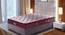 Restonic Sanibel Bonnel Spring Pillow Top Mattress - King Size (King Mattress Type, 6 in Mattress Thickness (in Inches), 75 x 72 in Mattress Size, Maroon) by Urban Ladder - Front View Design 1 - 689139