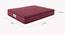 Tartania Pocket Spring Mattress - King Size (King Mattress Type, 6 in Mattress Thickness (in Inches), 72 x 72 in Mattress Size, Maroon) by Urban Ladder - Design 1 Close View - 690430