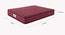 Tartania Pocket Spring Mattress - Queen Size (Queen Mattress Type, 78 x 60 in (Standard) Mattress Size, 6 in Mattress Thickness (in Inches), Maroon) by Urban Ladder - Design 1 Close View - 690451