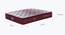 Restonic Sanibel Bonnel Spring Pillow Top Mattress - King Size (King Mattress Type, 6 in Mattress Thickness (in Inches), 75 x 72 in Mattress Size, Maroon) by Urban Ladder - Design 1 Details - 691802