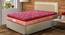 Springkoil Bonnel Spring Pillow Top Mattress - Queen Size (Queen Mattress Type, 72 x 60 in Mattress Size, 8 in Mattress Thickness (in Inches), Maroon) by Urban Ladder - Front View Design 1 - 692039