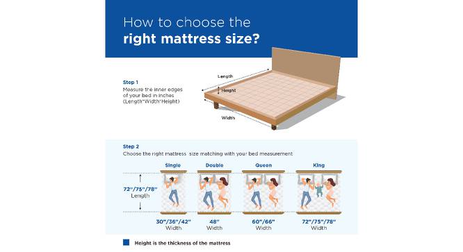 Springkoil Bonnel Spring Mattress - Queen Size (Blue, Queen Mattress Type, 72 x 60 in Mattress Size, 8 in Mattress Thickness (in Inches)) by Urban Ladder - Design 1 Side View - 692474