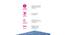 Springkoil Bonnel Spring Mattress - Single Size (Blue, Single Mattress Type, 10 in Mattress Thickness (in Inches), 75 x 30 in Mattress Size) by Urban Ladder - Rear View Design 1 - 692749