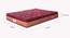 Springkoil Bonnel Spring Pillow Top Mattress - Double Size (8 in Mattress Thickness (in Inches), Maroon, 72 x 48 in Mattress Size, Double Mattress Type) by Urban Ladder - Design 1 Details - 693305