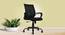 Medium Back Ergonomic Revolving Computer Study Work from Home & Office Chair (Black) by Urban Ladder - Front View Design 1 - 693589