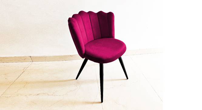 Finger Luxurious Home Collection Dining Chairs (Powder Coating Finish) by Urban Ladder - Front View Design 1 - 693957