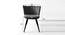 Finger Luxurious Home Collection Dining Chairs (Powder Coating Finish) by Urban Ladder - Design 1 Dimension - 693986