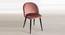Romantic Vintage Dining Chairs (Powder Coating Finish) by Urban Ladder - Front View Design 1 - 694069