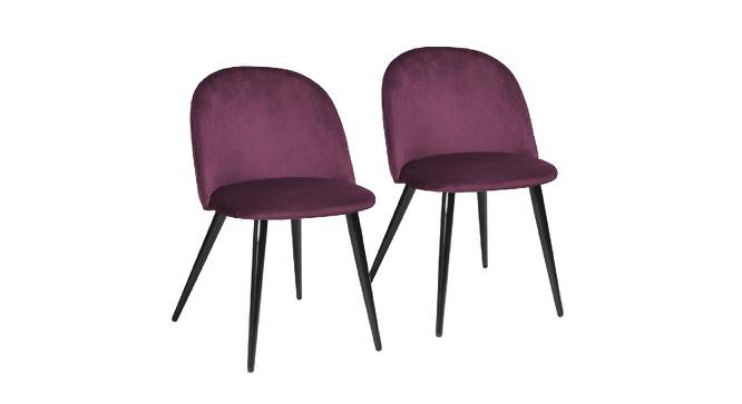 Romantic Vintage Dining Chairs (Powder Coating Finish) by Urban Ladder - Design 1 Side View - 694295