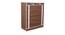 Josh Collapsible Shoe rack (Brown Finish, 12 Pair Capacity) by Urban Ladder - Side View - 