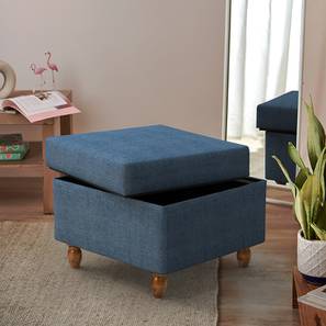 Chair In Thane Design Modern Trunk Storage Ottoman (Sailor Blue)