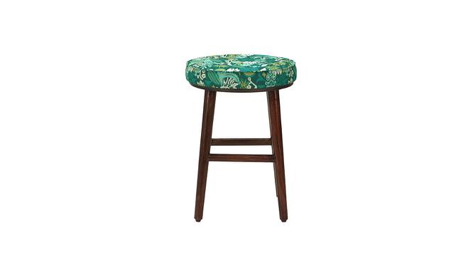 English Cafe Stool (Tropical Ikkat Green) by Urban Ladder - Front View Design 1 - 695594