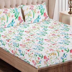 New Arrivals Home Decor Design Blue Floral 160 TC Cotton Double Size Bedsheet with 2 Pillow Covers
