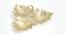Maple Leaf Gold Nut Bowl (Gold) by Urban Ladder - Close View - 