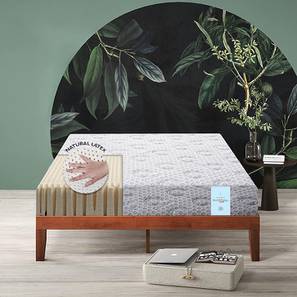 Nirvana mattress bedroom  series lp