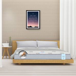 Spine support mattress  series lp