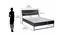 Urbenia Engineered Wood Without Storage Queen Bed (Black) (King Bed Size, Matte Finish) by Urban Ladder - Design 1 Dimension - 699060