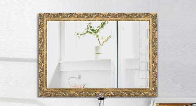 Decorative Mirror and Bathroom Mirror EL3020BMRREM0135 (Gold) by Urban Ladder - Front View Design 1 - 699561