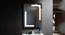 Bathroom Mirror and LED Mirror EL2418LEDRCFMLSMR (Silver) by Urban Ladder - Front View Design 1 - 699597