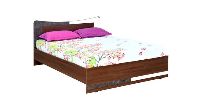 Brussels Engineered Wood King Bed without Storage (Color - Dark Acacia) (King Bed Size, Dark Acacia Finish) by Urban Ladder - Front View Design 1 - 701204