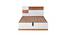 Romano Engineered Wood Queen Bed with Hydraulic Storage (Color - HG Cashmere/Teak) (Queen Bed Size, Cashmere & Teak Finish) by Urban Ladder - Design 1 Side View - 701215