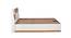 Romano Engineered Wood Queen Bed with Hydraulic Storage (Color - HG Cashmere/Teak) (Queen Bed Size, Cashmere & Teak Finish) by Urban Ladder - Ground View Design 1 - 701228