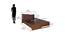 Brussels Engineered Wood King Bed without Storage (Color - Dark Acacia) (King Bed Size, Dark Acacia Finish) by Urban Ladder - Design 1 Dimension - 701285
