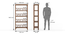 Enid Bookshelf (Finish: Mango Mahogany) (Amber Walnut Finish) by Urban Ladder - Dimension - 