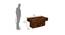 Gravel Solid Wood Coffee Table (Walnut) (Walnut Finish) by Urban Ladder - Design 1 Dimension - 701580
