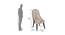 Elite Dining Chair (Beige) (Beige Finish) by Urban Ladder - Design 1 Dimension - 701612