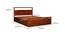 Desdra Bed (Queen Bed Size, Matte Finish) by Urban Ladder - - 